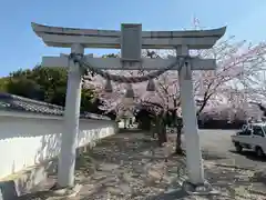 彌都加伎神社の鳥居