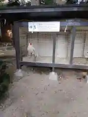 助松神社の動物