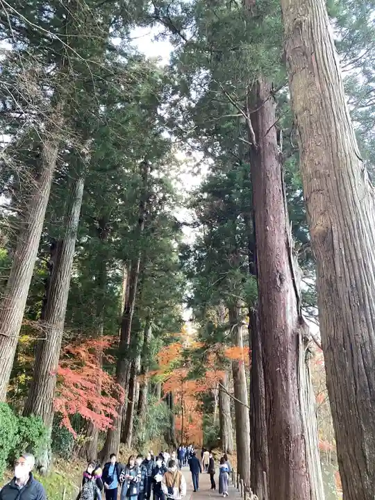 中尊寺のその他建物
