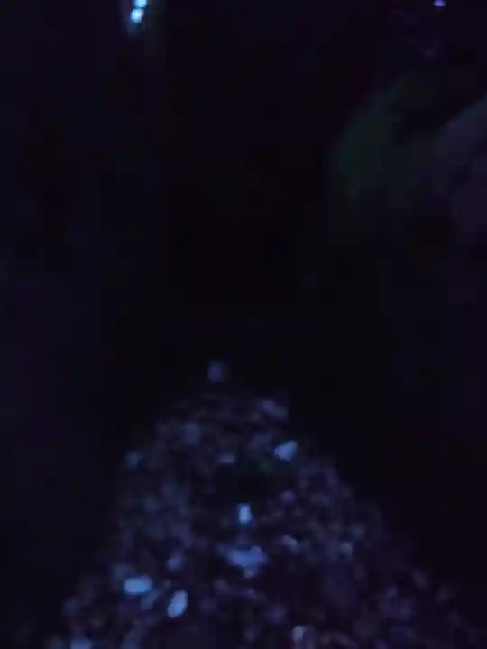 神倉神社(熊野速玉大社摂社)(和歌山県)