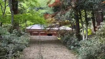 室生寺の{uncategorized: "未分類", other: "その他", undefined: "問題あり", building: "その他建物", grave: "お墓", sacred_gate: "鳥居", guardian: "狛犬", statue: "像", buddha: "仏像", history: "歴史", nature: "自然", garden: "庭園", animal: "動物", pagoda: "塔", temizu: "手水舎", mountain_gate: "山門・神門", sanctuary: "本殿・本堂", subordinate: "末社・摂社", art: "芸術", scenery: "景色", jizo: "地蔵", ema: "絵馬", goshuin: "御朱印", omikuji: "おみくじ", items: "授与品その他", amulet: "お守り", goshuincho: "御朱印帳", eats: "食事", festival: "お祭り", votive_dance: "神楽", shichigosan: "七五三参", wedding: "結婚式", experience: "体験その他", initially: "初詣", around: "周辺", anti_infection: "感染症対策"}