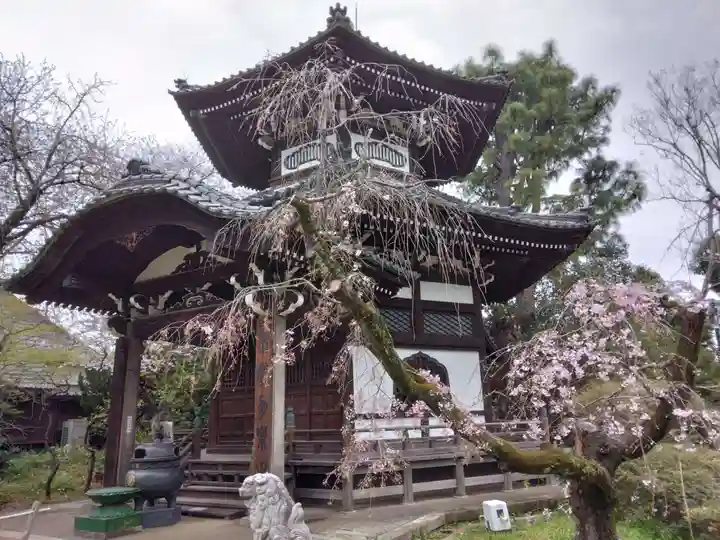 観音寺(世田谷山観音寺)(東京都)