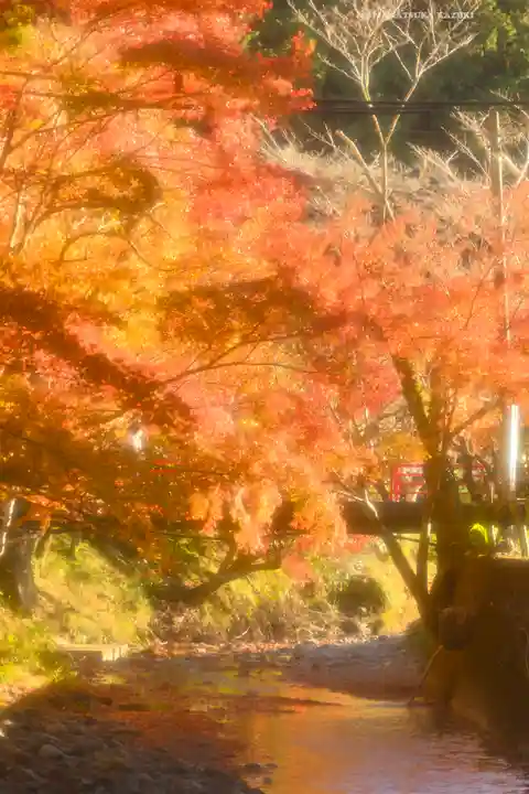 小國神社(静岡県)