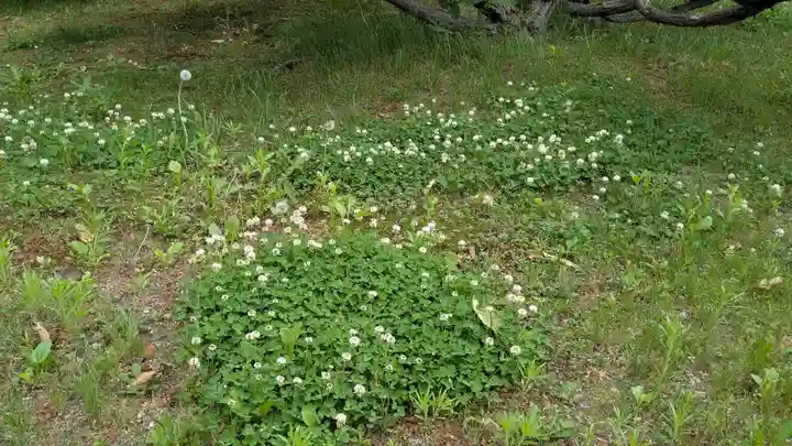 士幌神社の自然