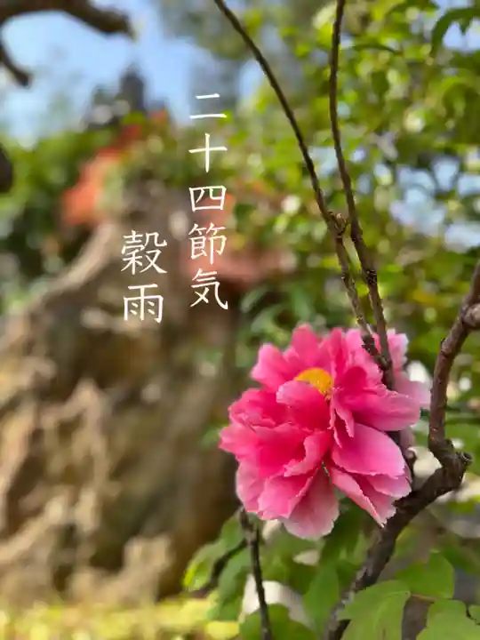 御嶽神社茅萱宮(岐阜県)
