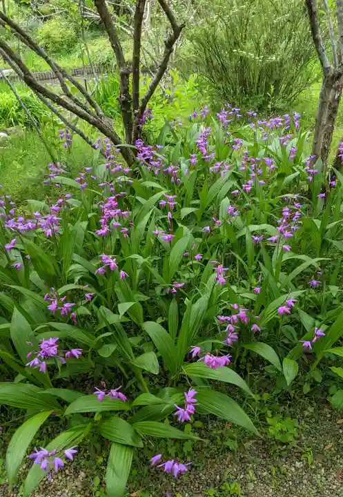 法華寺(奈良県)