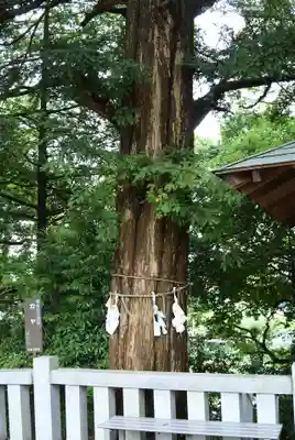 神鳥前川神社(神奈川県)
