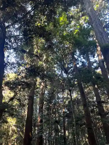 鹿島神宮(茨城県)