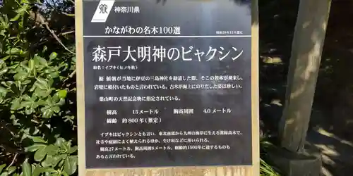 森戸大明神（森戸神社）(神奈川県)