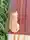 湯湯婆さん