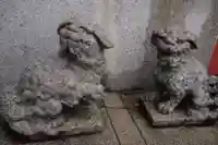大山阿夫利神社の狛犬