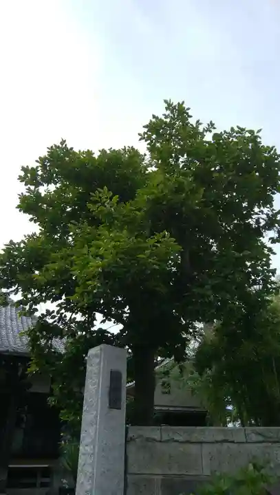 光明寺のその他建物