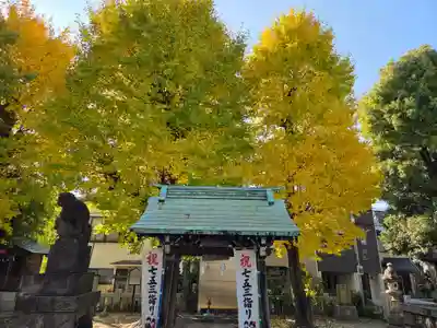 上平間八幡大神(神奈川県)