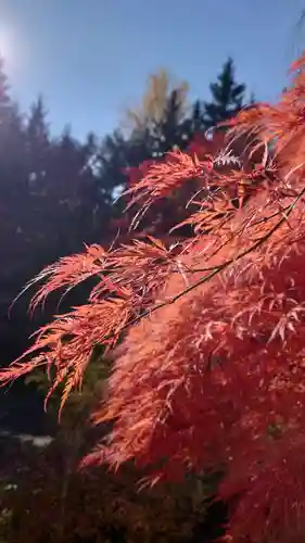 相馬神社(北海道)