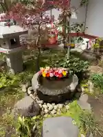 仙台大神宮の{uncategorized: "未分類", other: "その他", undefined: "問題あり", building: "その他建物", grave: "お墓", sacred_gate: "鳥居", guardian: "狛犬", statue: "像", buddha: "仏像", history: "歴史", nature: "自然", garden: "庭園", animal: "動物", pagoda: "塔", temizu: "手水舎", mountain_gate: "山門・神門", sanctuary: "本殿・本堂", subordinate: "末社・摂社", art: "芸術", scenery: "景色", jizo: "地蔵", ema: "絵馬", goshuin: "御朱印", omikuji: "おみくじ", items: "授与品その他", amulet: "お守り", goshuincho: "御朱印帳", eats: "食事", festival: "お祭り", votive_dance: "神楽", shichigosan: "七五三参", wedding: "結婚式", experience: "体験その他", initially: "初詣", around: "周辺", anti_infection: "感染症対策"}
