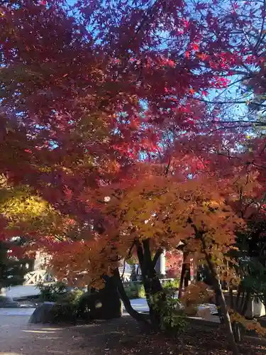 四柱神社(長野県)