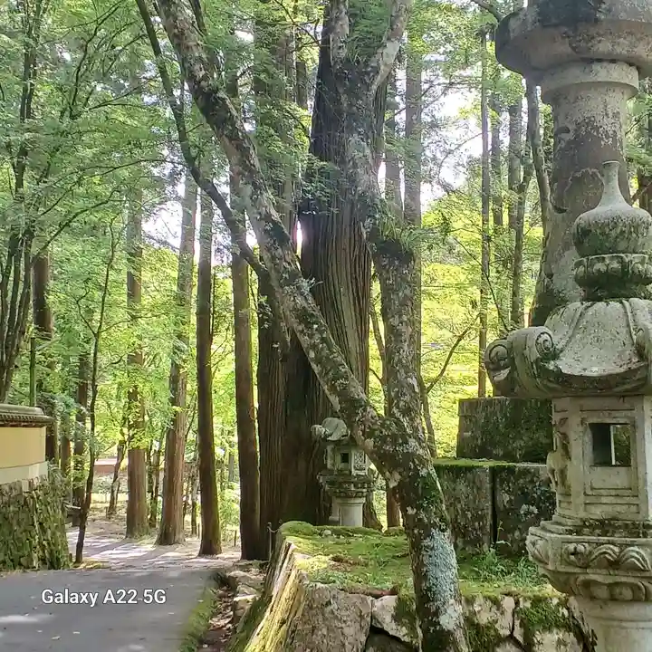 佛通寺(広島県)