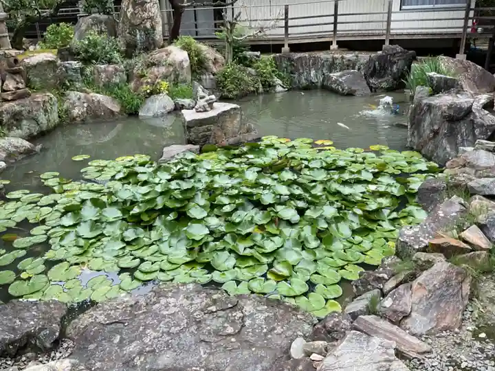 本光寺(愛知県)