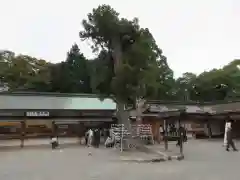 石清水八幡宮の建物その他