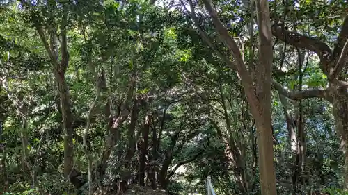 金毘羅神社の自然