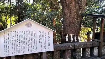 久能山東照宮(静岡県)