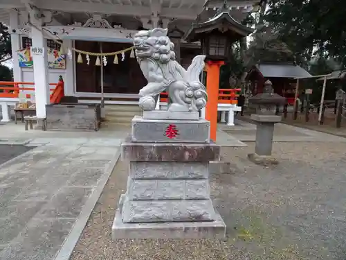 白岡八幡神社の狛犬