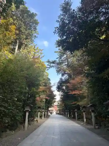 寒川神社(神奈川県)