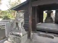 金川水神社の狛犬