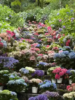 長谷寺(奈良県)