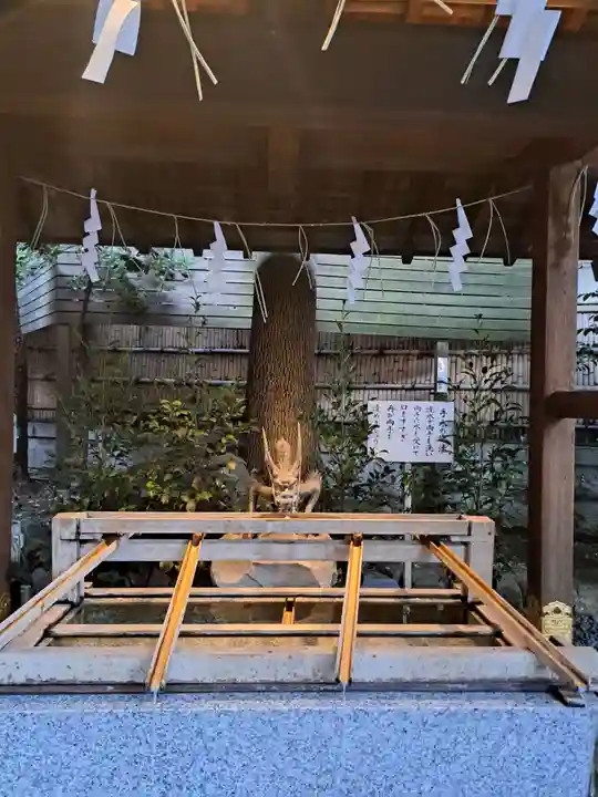 東京大神宮(東京都)