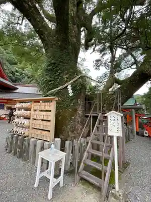 熊野那智大社(和歌山県)