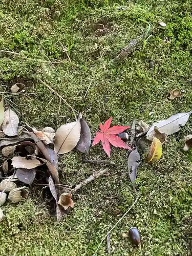 成田山新勝寺の自然