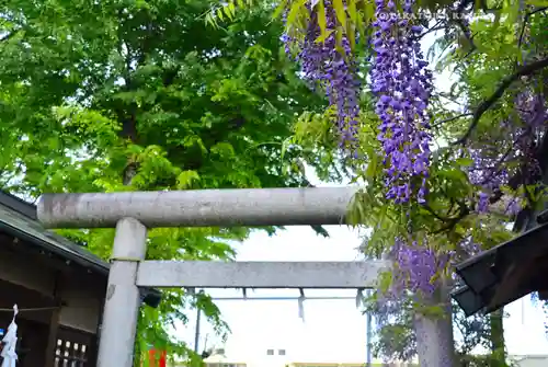 國領神社(東京都)