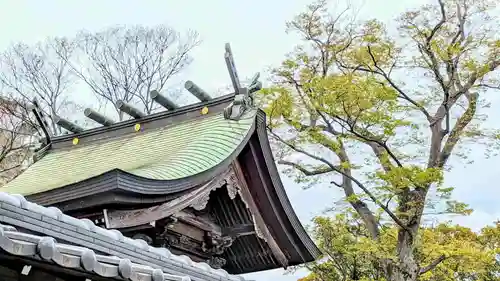 菊田神社の本殿・本堂