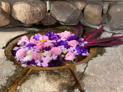 生田神社の手水舎