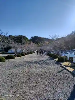 安房神社(千葉県)