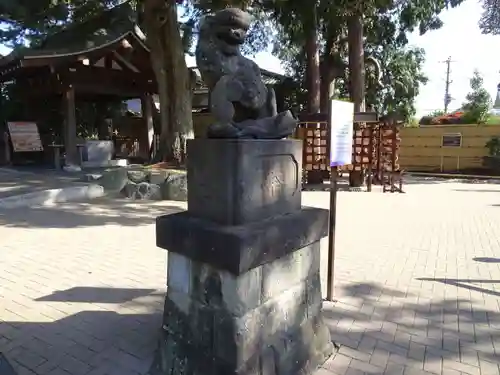 中野沼袋氷川神社の狛犬