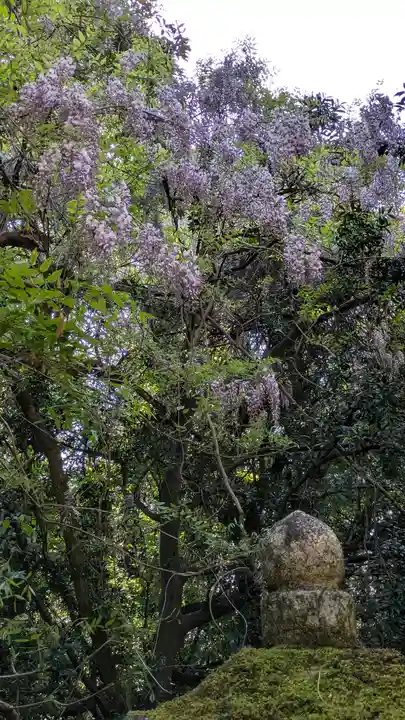 春日大社金龍神社(禁裡殿)(奈良県)