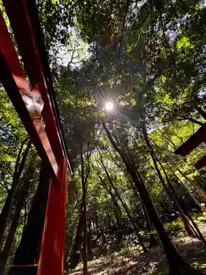 長山稲荷社（橿原神宮末社）(奈良県)
