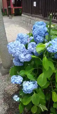 石坐神社の自然