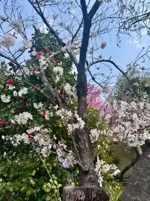 長建寺の{uncategorized: "未分類", other: "その他", undefined: "問題あり", building: "その他建物", grave: "お墓", sacred_gate: "鳥居", guardian: "狛犬", statue: "像", buddha: "仏像", history: "歴史", nature: "自然", garden: "庭園", animal: "動物", pagoda: "塔", temizu: "手水舎", mountain_gate: "山門・神門", sanctuary: "本殿・本堂", subordinate: "末社・摂社", art: "芸術", scenery: "景色", jizo: "地蔵", ema: "絵馬", goshuin: "御朱印", omikuji: "おみくじ", items: "授与品その他", amulet: "お守り", goshuincho: "御朱印帳", eats: "食事", festival: "お祭り", votive_dance: "神楽", shichigosan: "七五三参", wedding: "結婚式", experience: "体験その他", initially: "初詣", around: "周辺", anti_infection: "感染症対策"}