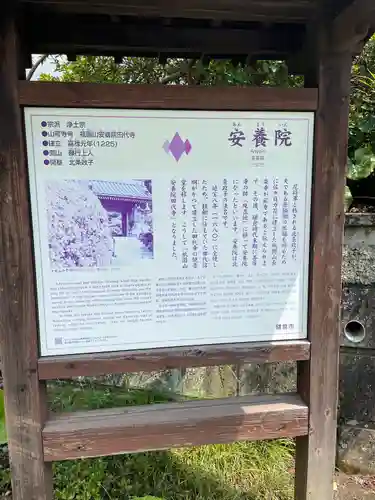 安養院　(田代寺）の歴史