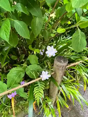 明月院(神奈川県)