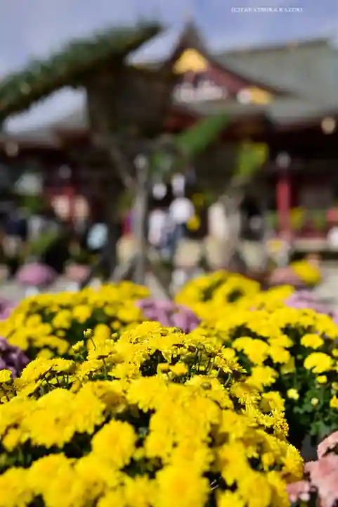 笠間稲荷神社(茨城県)