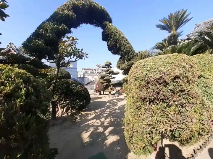 真観寺の{uncategorized: "未分類", other: "その他", undefined: "問題あり", building: "その他建物", grave: "お墓", sacred_gate: "鳥居", guardian: "狛犬", statue: "像", buddha: "仏像", history: "歴史", nature: "自然", garden: "庭園", animal: "動物", pagoda: "塔", temizu: "手水舎", mountain_gate: "山門・神門", sanctuary: "本殿・本堂", subordinate: "末社・摂社", art: "芸術", scenery: "景色", jizo: "地蔵", ema: "絵馬", goshuin: "御朱印", omikuji: "おみくじ", items: "授与品その他", amulet: "お守り", goshuincho: "御朱印帳", eats: "食事", festival: "お祭り", votive_dance: "神楽", shichigosan: "七五三参", wedding: "結婚式", experience: "体験その他", initially: "初詣", around: "周辺", anti_infection: "感染症対策"}