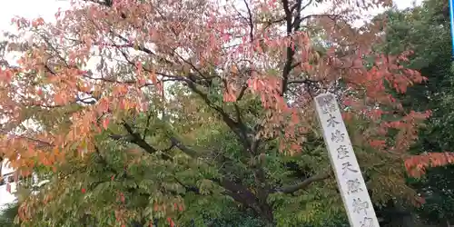 木嶋坐天照御魂神社の自然