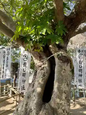龍口明神社(神奈川県)