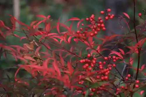 阿久津「田村神社」（郡山市阿久津町）旧社名：伊豆箱根三嶋三社の庭園