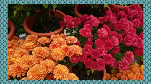 笠間稲荷神社(茨城県)