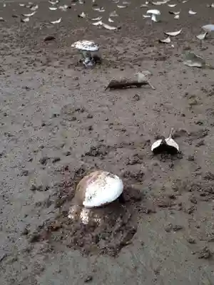 伏木香取神社のその他建物